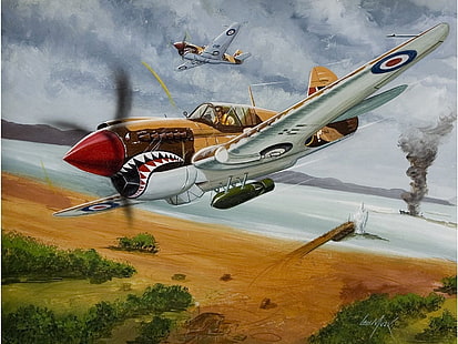 เครื่องบินทหารเครื่องบิน Curtiss P-40 Warhawk, วอลล์เปเปอร์ HD HD wallpaper