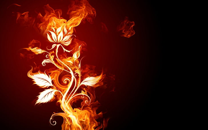 주황색 불꽃 꽃, 불, 꽃, HD 배경 화면