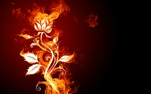 оранжевое пламя цветок, огонь, цветы, HD обои HD wallpaper