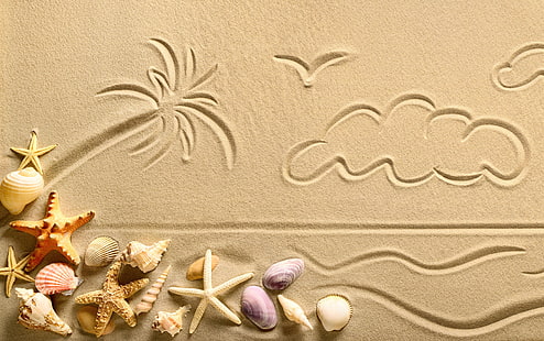 砂、星、貝殻、ヒトデ、貝殻、 HDデスクトップの壁紙 HD wallpaper