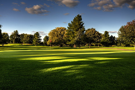 lato, niebo, trawa, drzewa, przyroda, pole golfowe, Tapety HD HD wallpaper