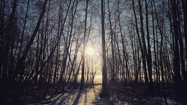 musim dingin, bayangan, salju, jalan, matahari, es, danau, alam, matahari terbenam, matahari terbit, finlandia, Wallpaper HD