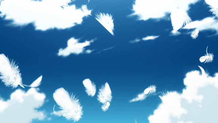 Monogatari Серия, небо, перья, HD обои