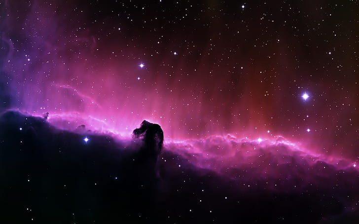 馬頭星雲、天文学、黒、馬頭星雲、自然、星雲、オリオン（星座）、写真、ピンク、赤、空、宇宙、星、 HDデスクトップの壁紙