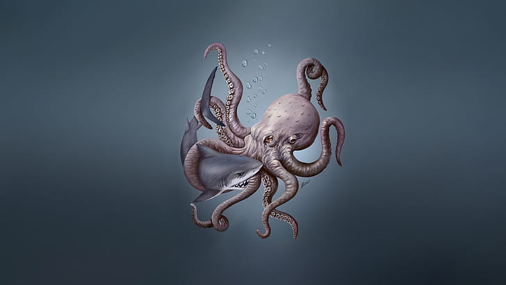 Animal, Octopus, HD wallpaper