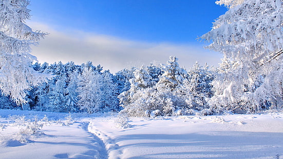 panoramiczny zimowy 3840x2160, Tapety HD HD wallpaper