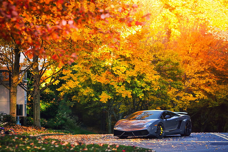Lamborghini, Gallardo, Lamborghini Gallardo Superleggera, Lamborghini Gallardo Superleggera LP570, Herbst, Auto, HD-Hintergrundbild