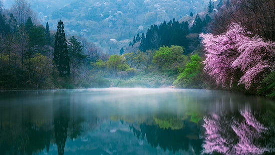 nature, water, reflection, spring, wilderness, mount scenery, lake, tree, sky, leaf, HD wallpaper HD wallpaper