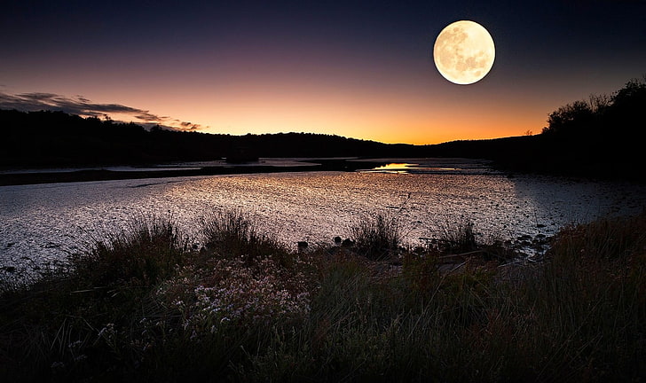 วอลล์เปเปอร์ดิจิตอลพระจันทร์เต็มดวง, ทิวทัศน์, ธรรมชาติ, ตอนเย็น, แม่น้ำ, พุ่มไม้, ดอกไม้ป่า, เนินเขา, ดวงจันทร์, แสงจันทร์, วอลล์เปเปอร์ HD