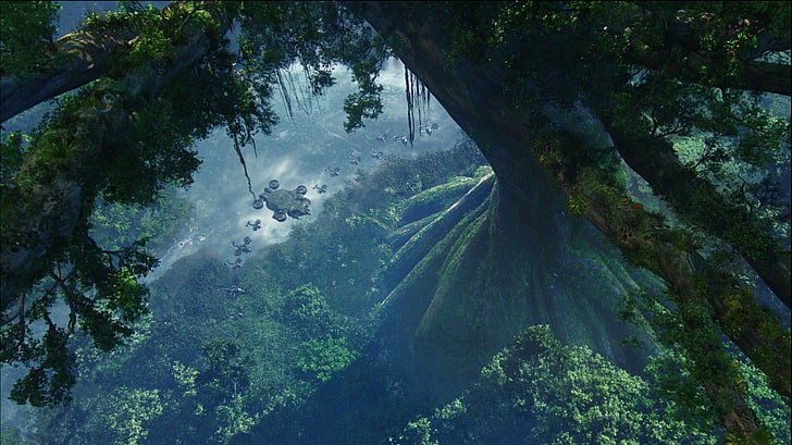 grönt träd, Avatar, HD tapet