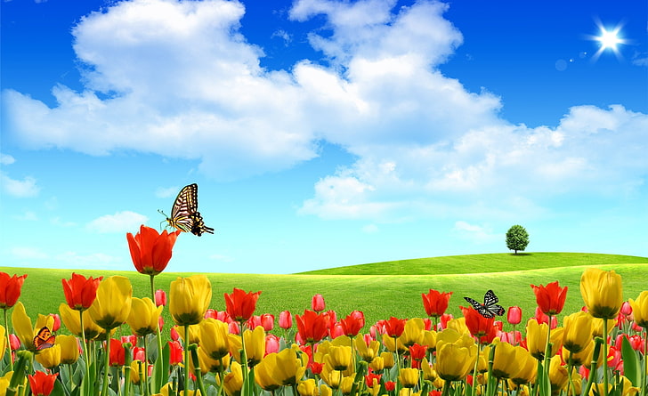 Dreamscape Spring, fleurs rouges et jaunes, saisons, printemps, Dreamscape, Fond d'écran HD