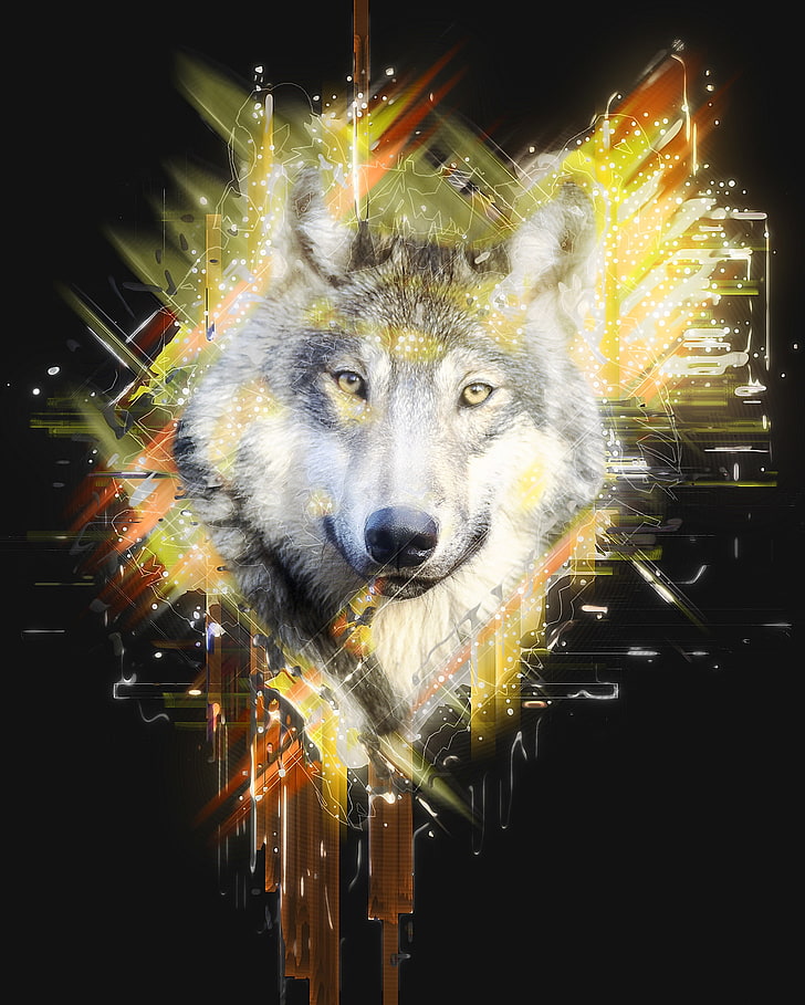 gray wolf head, wolf, muzzle, predator, art, HD wallpaper