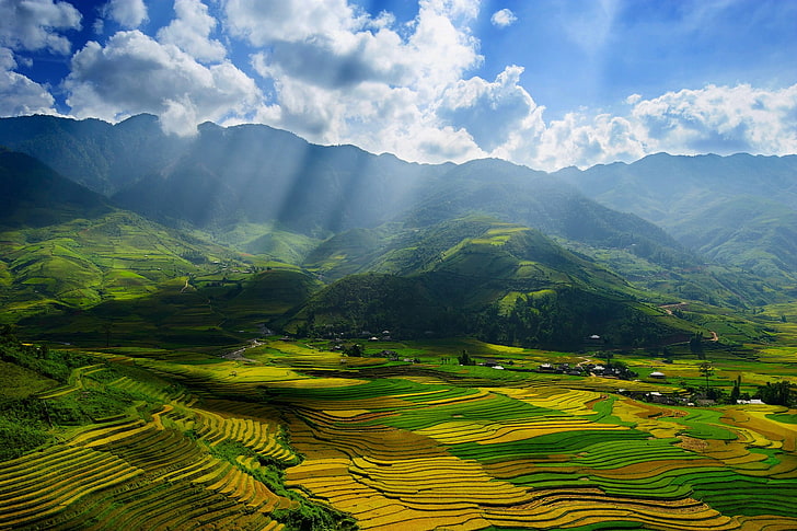 green rice terraces, landscape, nature, terraced field, valley, hills, sun rays, HD wallpaper