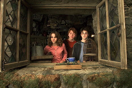 Harry Potter, Harry Potter och fången från Azkaban, Hermione Granger, Ron Weasley, HD tapet HD wallpaper