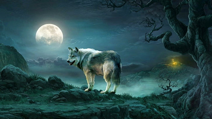wildlife, sky, full moon, moonlight, artwork, fantasy art, moon, darkness, nature, landscape, wolf, HD wallpaper