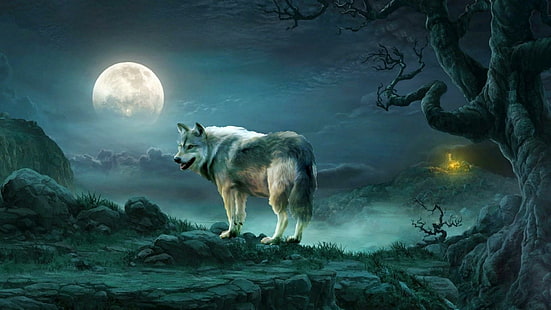 dzika przyroda, niebo, pełnia księżyca, światło księżyca, grafika, sztuka fantasy, księżyc, ciemność, natura, krajobraz, wilk, Tapety HD HD wallpaper