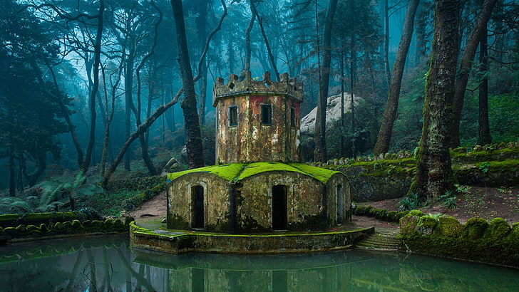 body of water, nature, architecture, forest, old building, water, lake, tower, reflection, moss, trees, HD wallpaper