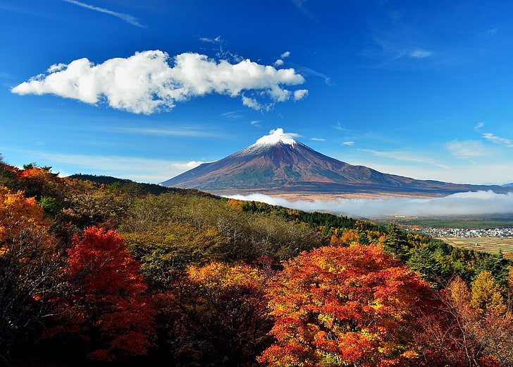 زهرة البتلة الحمراء ، الطبيعة ، المناظر الطبيعية ، الجبال ، اليابان، خلفية HD