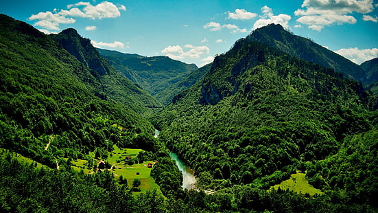 forest mountain stream image, HD wallpaper HD wallpaper