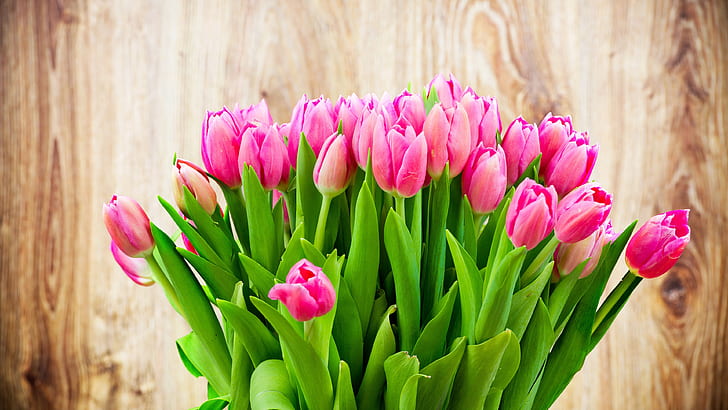 Buket bunga tulip merah muda yang indah, Cantik, Merah Muda, Tulip, Bunga, Buket, Wallpaper HD