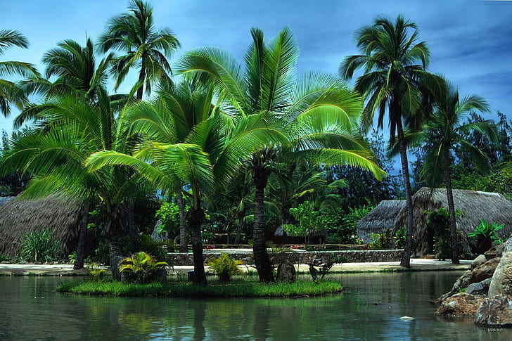 Retret Tropis, pohon-pohon palem, hijau, pasir, lautan, 3d dan abstrak, Wallpaper HD