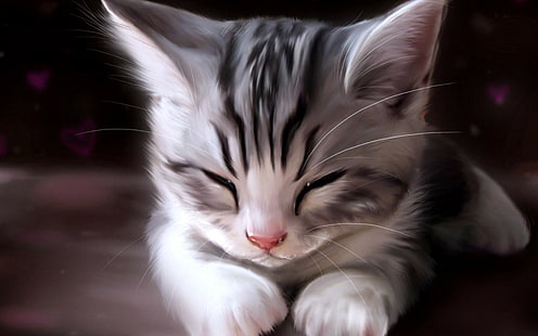 słodkie koty śpią, Tapety HD HD wallpaper