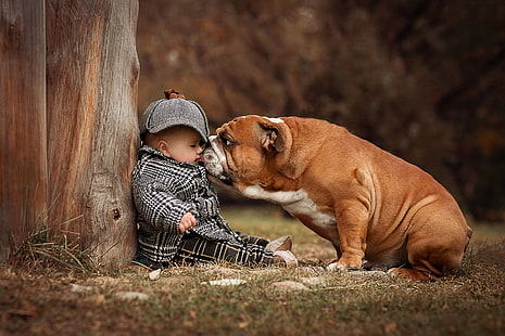 pies, chłopiec, niemowlę, dziecko, buldog angielski, Anna Ipatiev, Tapety HD HD wallpaper
