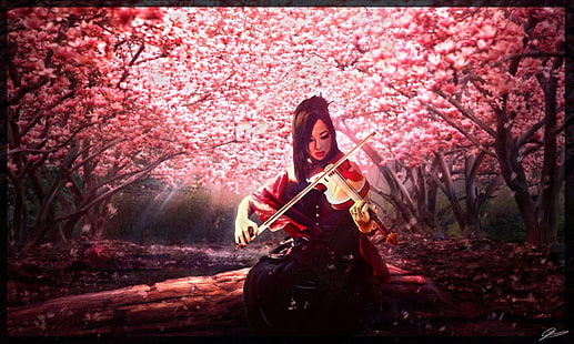 kobieta gra na skrzypcach pod obrazem kwiat wiśni, gejsza, skrzypce, Tapety HD HD wallpaper