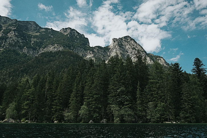 борови дървета и планински връх, езеро, планини, HD тапет