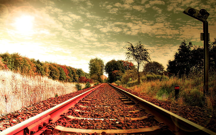 Railroad, train tracks and trees, train, way, road, HD wallpaper