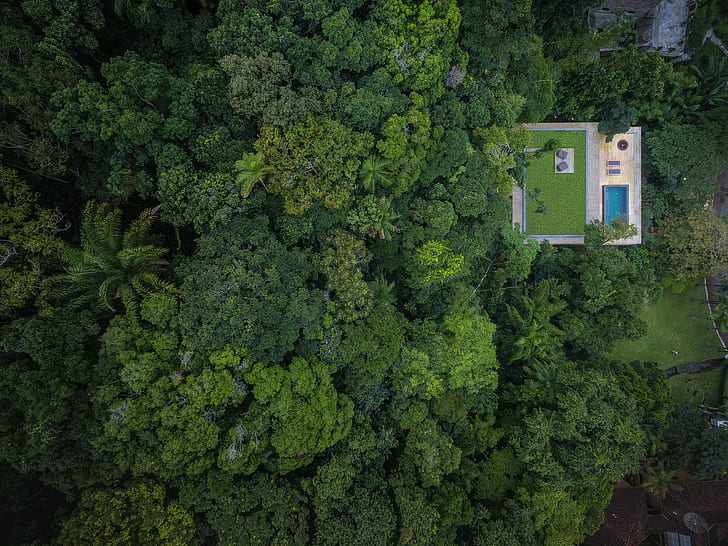 trees, forest, swimming pool, jungle, rainforest, house, rooftops, palm trees, grass, Brasil, modern, drone photo, HD wallpaper