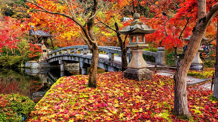есен, листа, дървета, парк, цветен, Япония, клен, Киото, пейзаж, мост, дърво, японска градина, есен, HD тапет