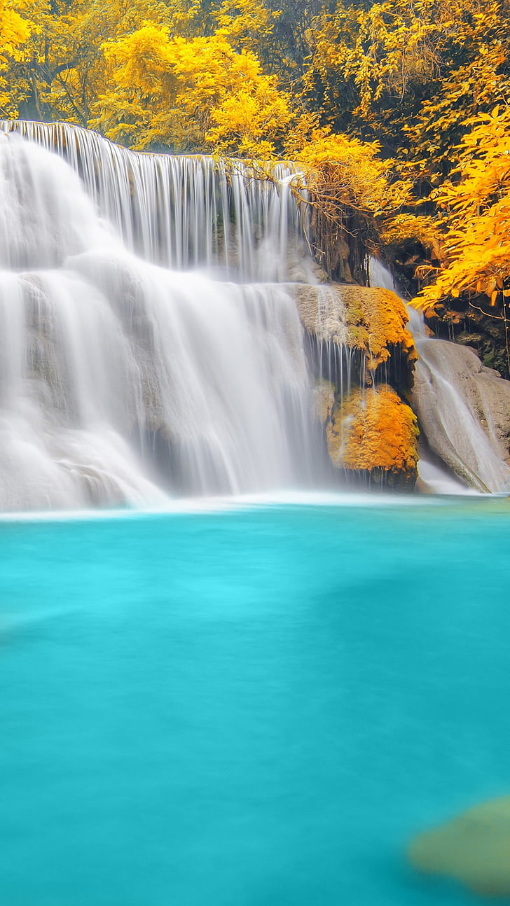 Forest Trees River Waterfall, teal waterfalls, Nature, Scenery, tree, autumn, waterfall, HD wallpaper