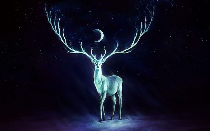 White deer walking in the night, reindeer illustration, fantasy, 2560x1600, horn, moon, deer, HD wallpaper