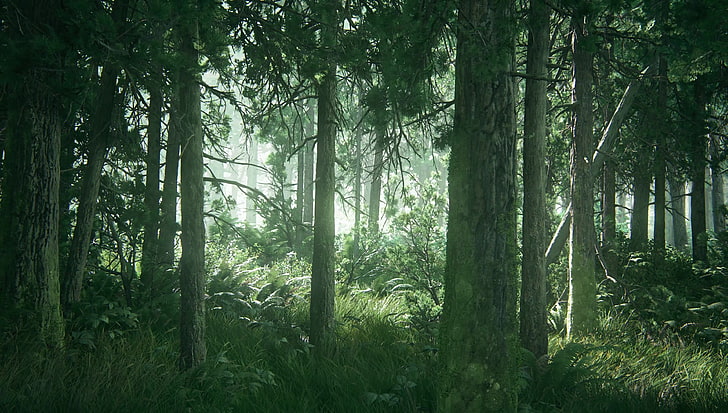зеленое дерево, последний из нас, часть II, апокалиптические, видеоигры, лес, HD обои