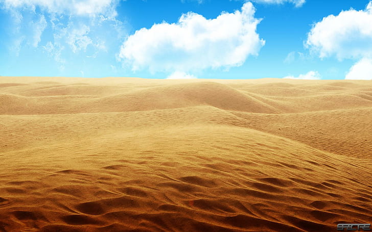 Sandy Desert, deserto, areia, HD papel de parede