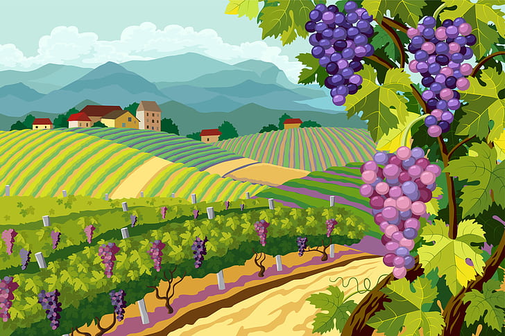 alam, lanskap, anggur, ikat, pemandangan, Vektor, Empat, Pedesaan, musim, Kebun anggur, ikat, Wallpaper HD