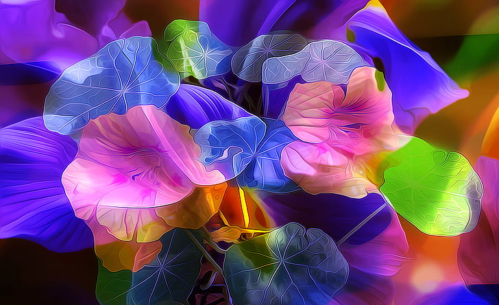 abstrakcyjna tapeta w różnych kolorach, liście, kwiaty, przyroda, płatki, ogród, kwietnik, Tapety HD
