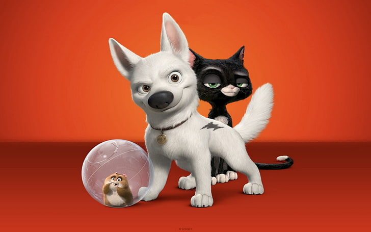 A Bolt, Volt animation wallpaper, Desenhos animados,, gato, branco, cachorro, parafuso, HD papel de parede