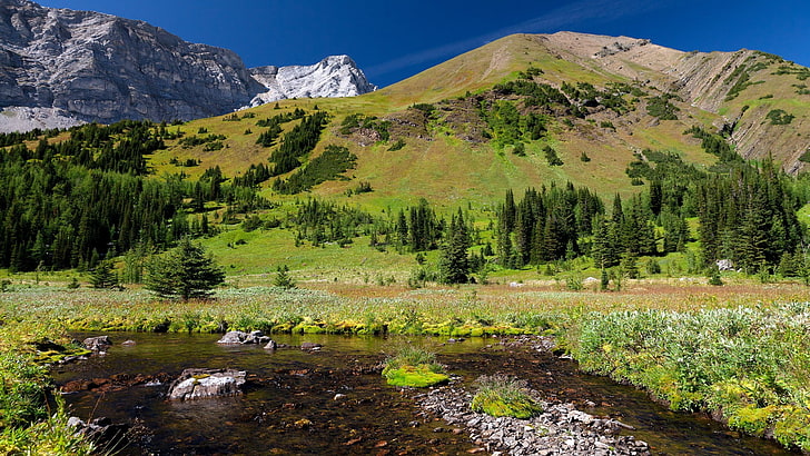 Kiefern, Berge, Fluss, HD-Hintergrundbild
