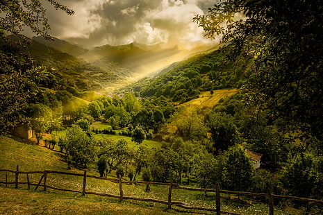 grüne blätter bäume in den bergen, de, grüne blätter, bäume, berg, landschaften, lena asturias, spanien, natur, landschaft, im freien, ländliche szene, baum, hügel, landschaftsbilder, grüne farbe, wald, HD-Hintergrundbild HD wallpaper