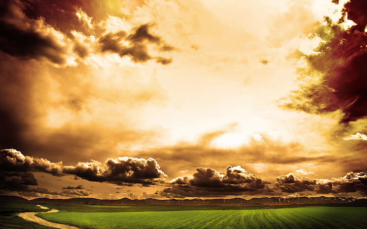 поле зеленой травы, небо, облака, пейзаж, HD обои