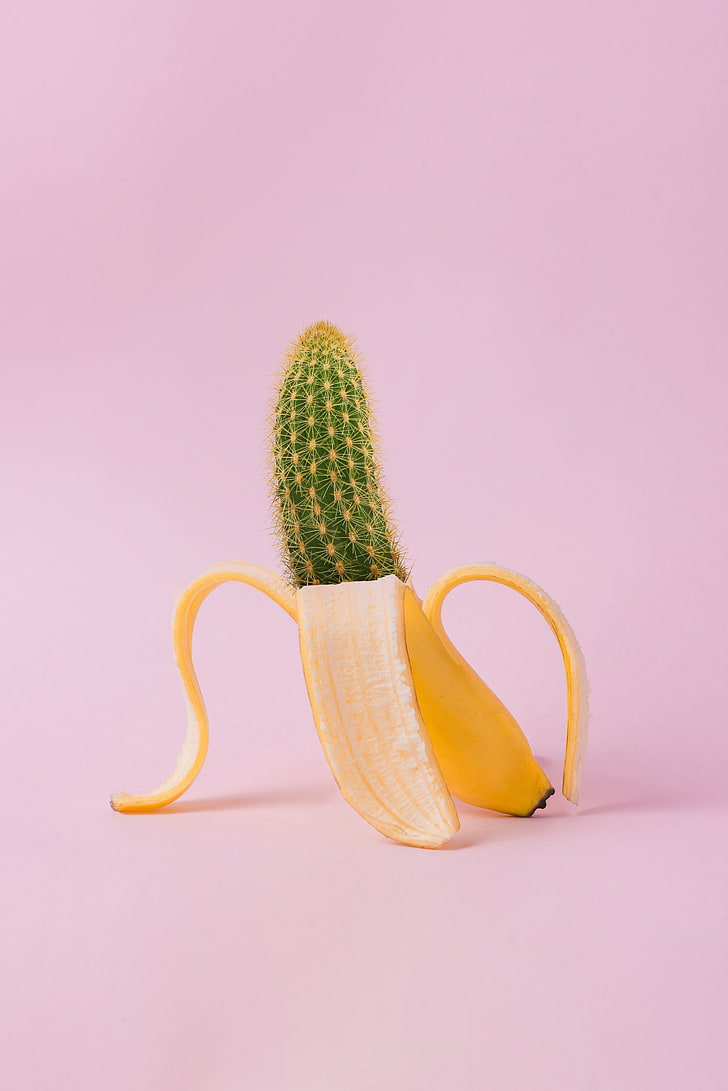 green cactus and yellow banana, banana, cactus, creative, minimalism, HD wallpaper