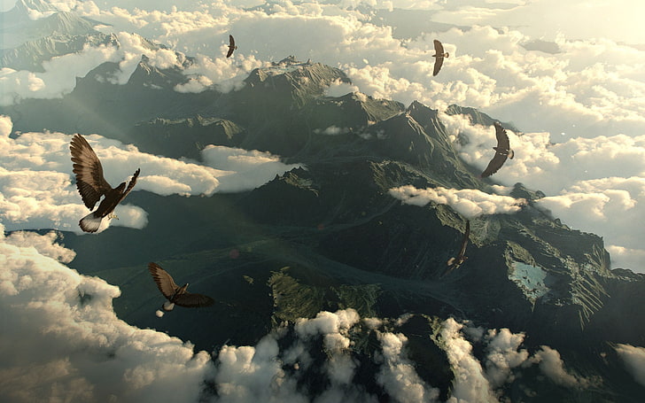 flock of birds, The Hobbit, movies, HD wallpaper