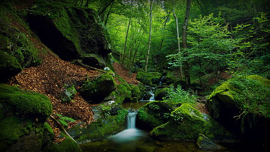 Welt erstaunliche Bilder der Natur 3840x2160, HD-Hintergrundbild HD wallpaper