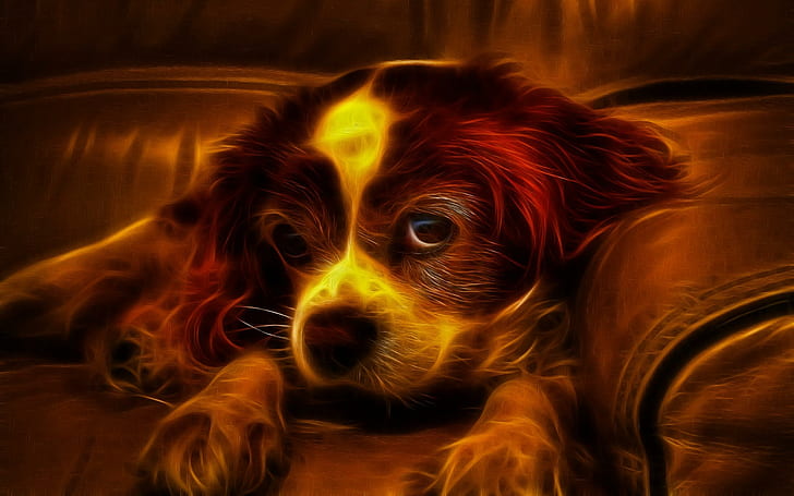 Cute 3d Dog Wallpaper Hd, Fondo de pantalla HD