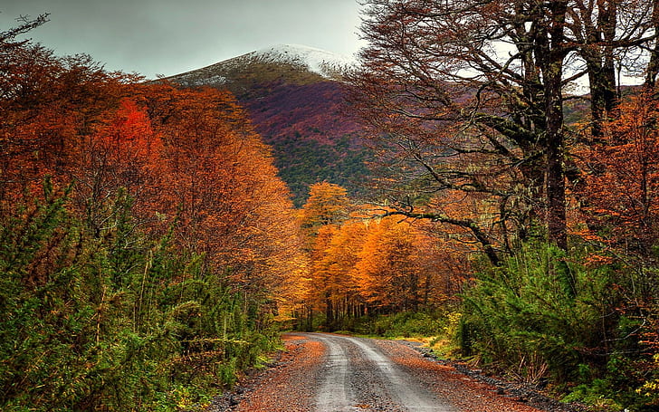 pemandangan, musim gugur, warna-warni, jalan tanah, hutan, gunung, Chili, puncak bersalju, pohon, semak belukar, Wallpaper HD