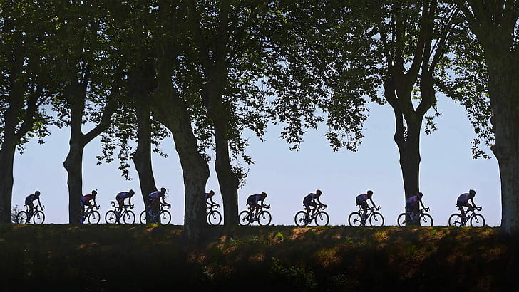 ağaçlar, siluet, Bisiklete binme, 2016, Fransa Bisiklet Turu, yarış, HD masaüstü duvar kağıdı