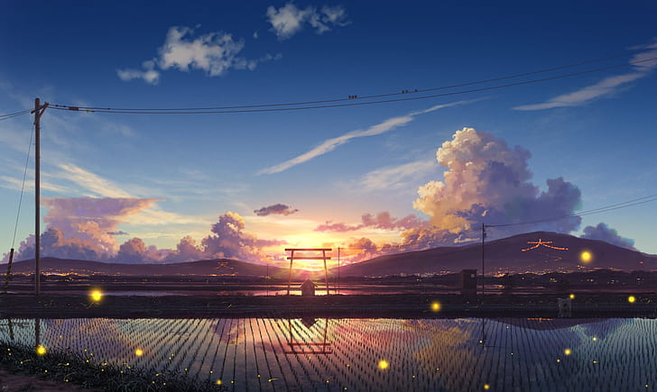 road, clouds, sunset, fireflies, hills, posts, wire, silence, Japan, birds, the reflection in the water, rice fields, torii gate, HD wallpaper