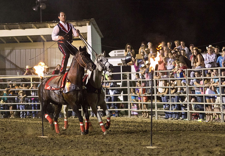 лошади, огонь, лошади, ночное время, исполнитель, родео, римский наездник, римская езда, специальность, команда, трюковая езда, HD обои